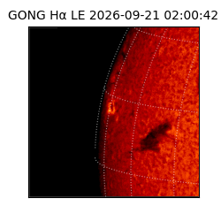 gong - 2026-09-21T02:00:42