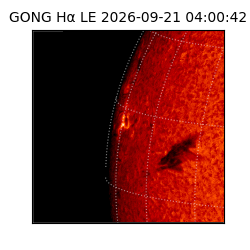 gong - 2026-09-21T04:00:42