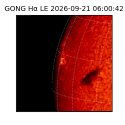 gong - 2026-09-21T06:00:42