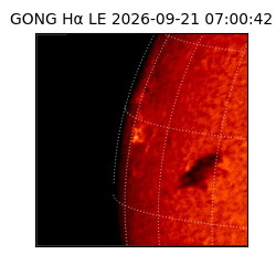 gong - 2026-09-21T07:00:42