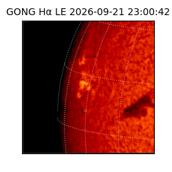 gong - 2026-09-21T23:00:42