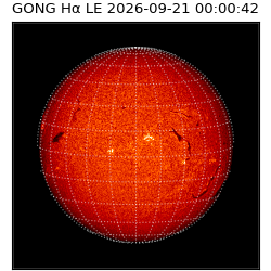 gong - 2026-09-21T00:00:42