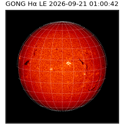 gong - 2026-09-21T01:00:42