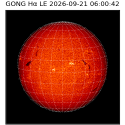 gong - 2026-09-21T06:00:42