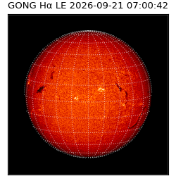gong - 2026-09-21T07:00:42