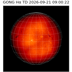 gong - 2026-09-21T09:00:22