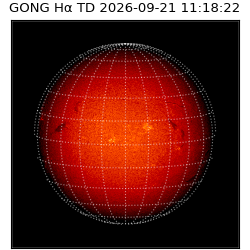 gong - 2026-09-21T11:18:22