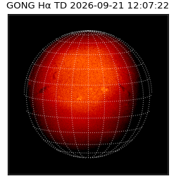 gong - 2026-09-21T12:07:22