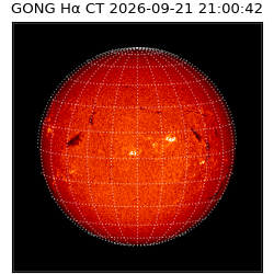 gong - 2026-09-21T21:00:42