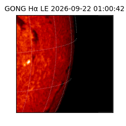 gong - 2026-09-22T01:00:42