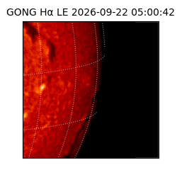 gong - 2026-09-22T05:00:42