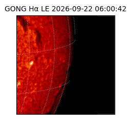 gong - 2026-09-22T06:00:42