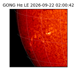 gong - 2026-09-22T02:00:42
