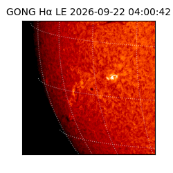 gong - 2026-09-22T04:00:42