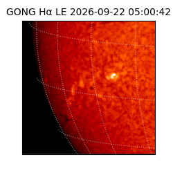 gong - 2026-09-22T05:00:42