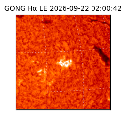 gong - 2026-09-22T02:00:42