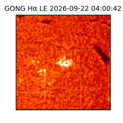gong - 2026-09-22T04:00:42