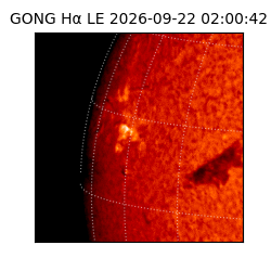 gong - 2026-09-22T02:00:42
