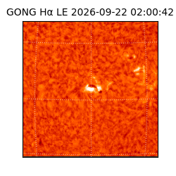 gong - 2026-09-22T02:00:42