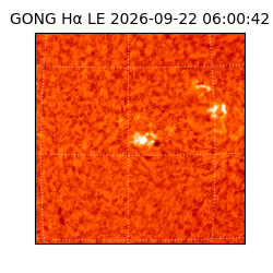 gong - 2026-09-22T06:00:42