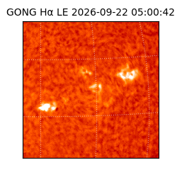 gong - 2026-09-22T05:00:42