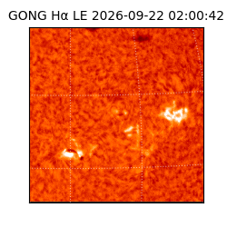 gong - 2026-09-22T02:00:42