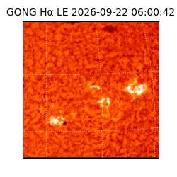 gong - 2026-09-22T06:00:42