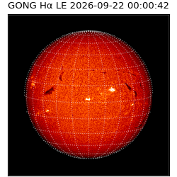 gong - 2026-09-22T00:00:42