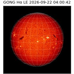 gong - 2026-09-22T04:00:42