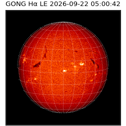 gong - 2026-09-22T05:00:42
