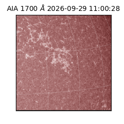 saia - 2026-09-29T11:00:28.720000