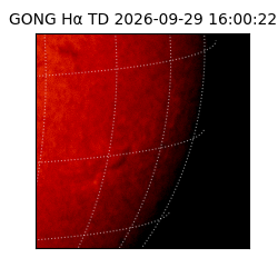 gong - 2026-09-29T16:00:22