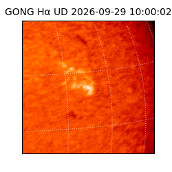 gong - 2026-09-29T10:00:02
