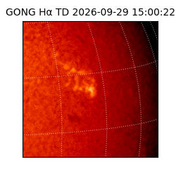 gong - 2026-09-29T15:00:22