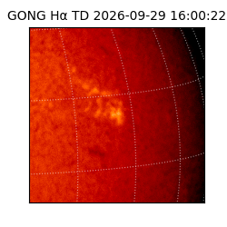 gong - 2026-09-29T16:00:22