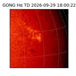 gong - 2026-09-29T18:00:22