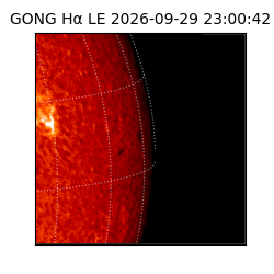 gong - 2026-09-29T23:00:42