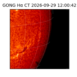 gong - 2026-09-29T12:00:42