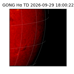 gong - 2026-09-29T18:00:22