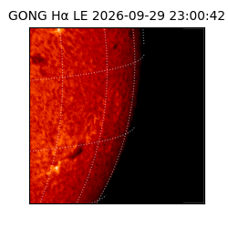 gong - 2026-09-29T23:00:42