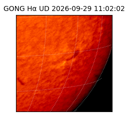gong - 2026-09-29T11:02:02