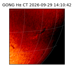 gong - 2026-09-29T14:10:42