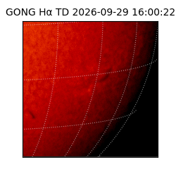 gong - 2026-09-29T16:00:22