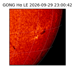 gong - 2026-09-29T23:00:42