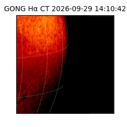 gong - 2026-09-29T14:10:42