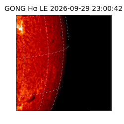gong - 2026-09-29T23:00:42