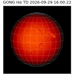 gong - 2026-09-29T16:00:22
