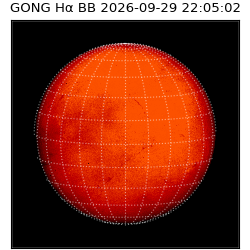 gong - 2026-09-29T22:05:02