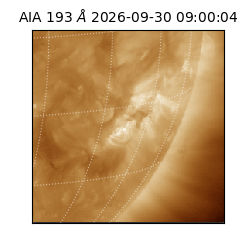 saia - 2026-09-30T09:00:04.842000