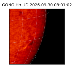 gong - 2026-09-30T08:01:02